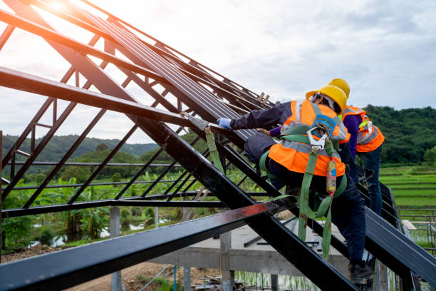 Best Roof Restoration Services  in Hunter, TN