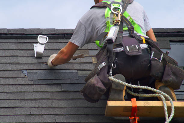 Roof Gutter Cleaning in Hunter, TN