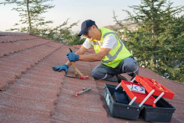 Best Sealant for Roof  in Hunter, TN