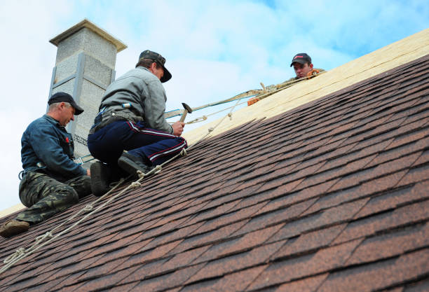 Best Emergency Roof Repair  in Hunter, TN